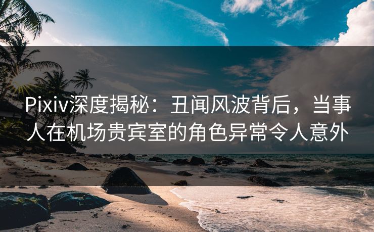 Pixiv深度揭秘：丑闻风波背后，当事人在机场贵宾室的角色异常令人意外