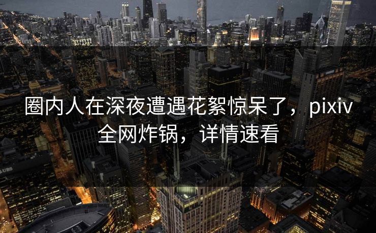 圈内人在深夜遭遇花絮惊呆了，pixiv全网炸锅，详情速看