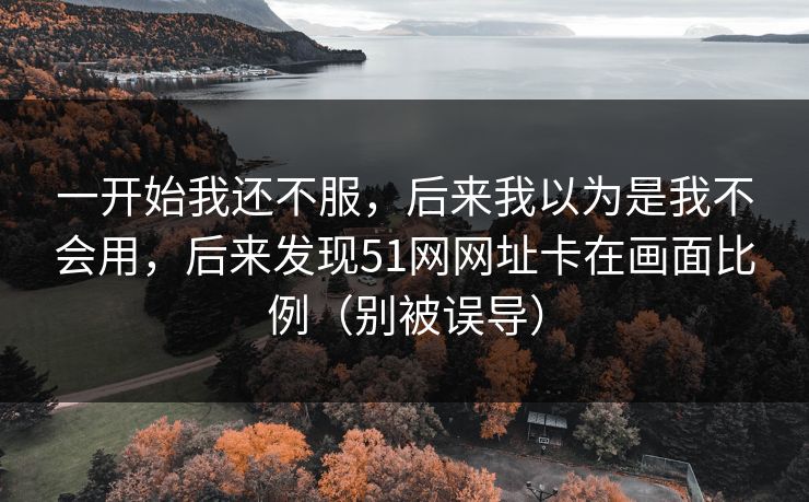 一开始我还不服，后来我以为是我不会用，后来发现51网网址卡在画面比例（别被误导）
